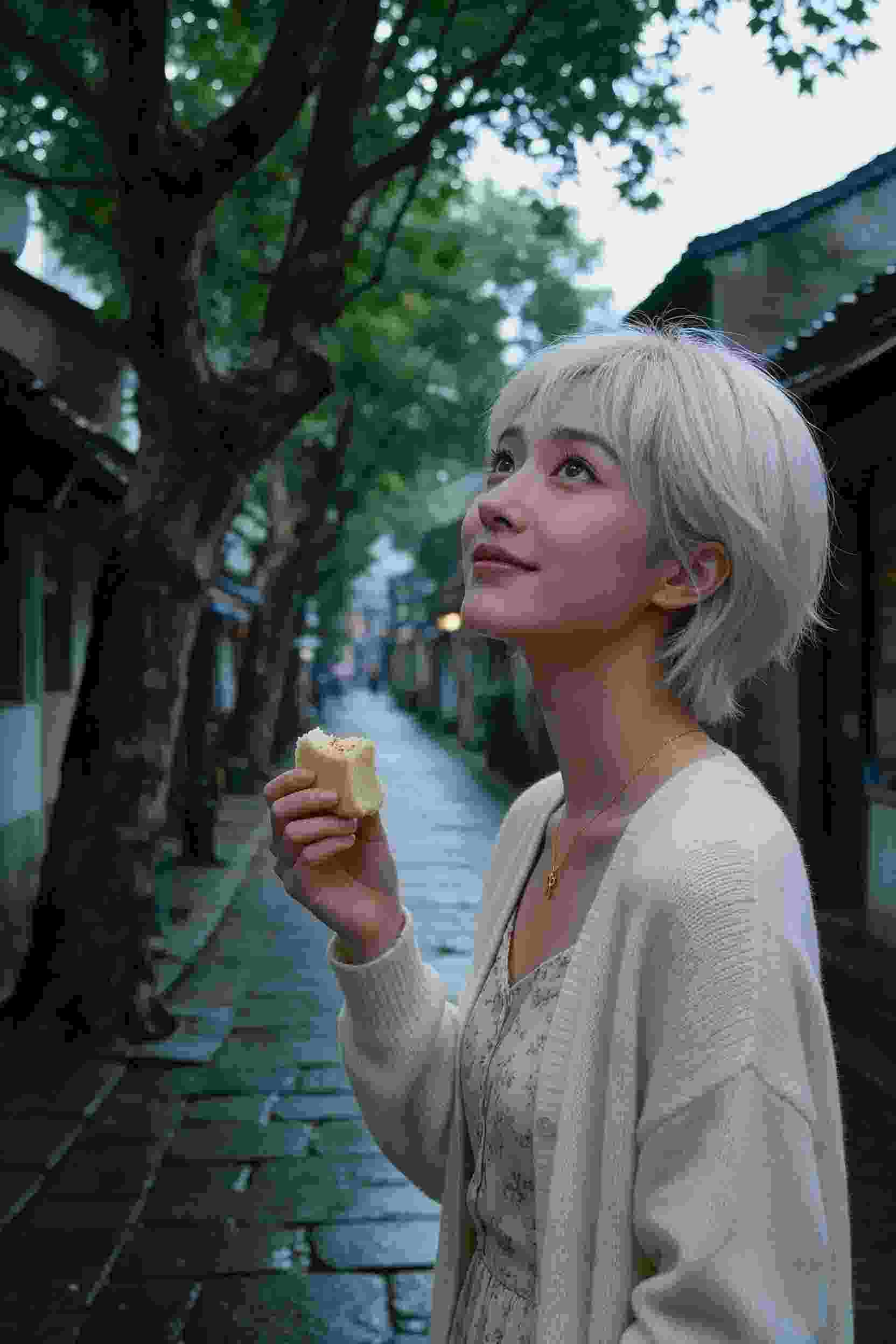 电视剧